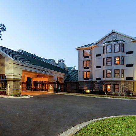 Hampton Inn & Suites Tampa-North Ngoại thất bức ảnh