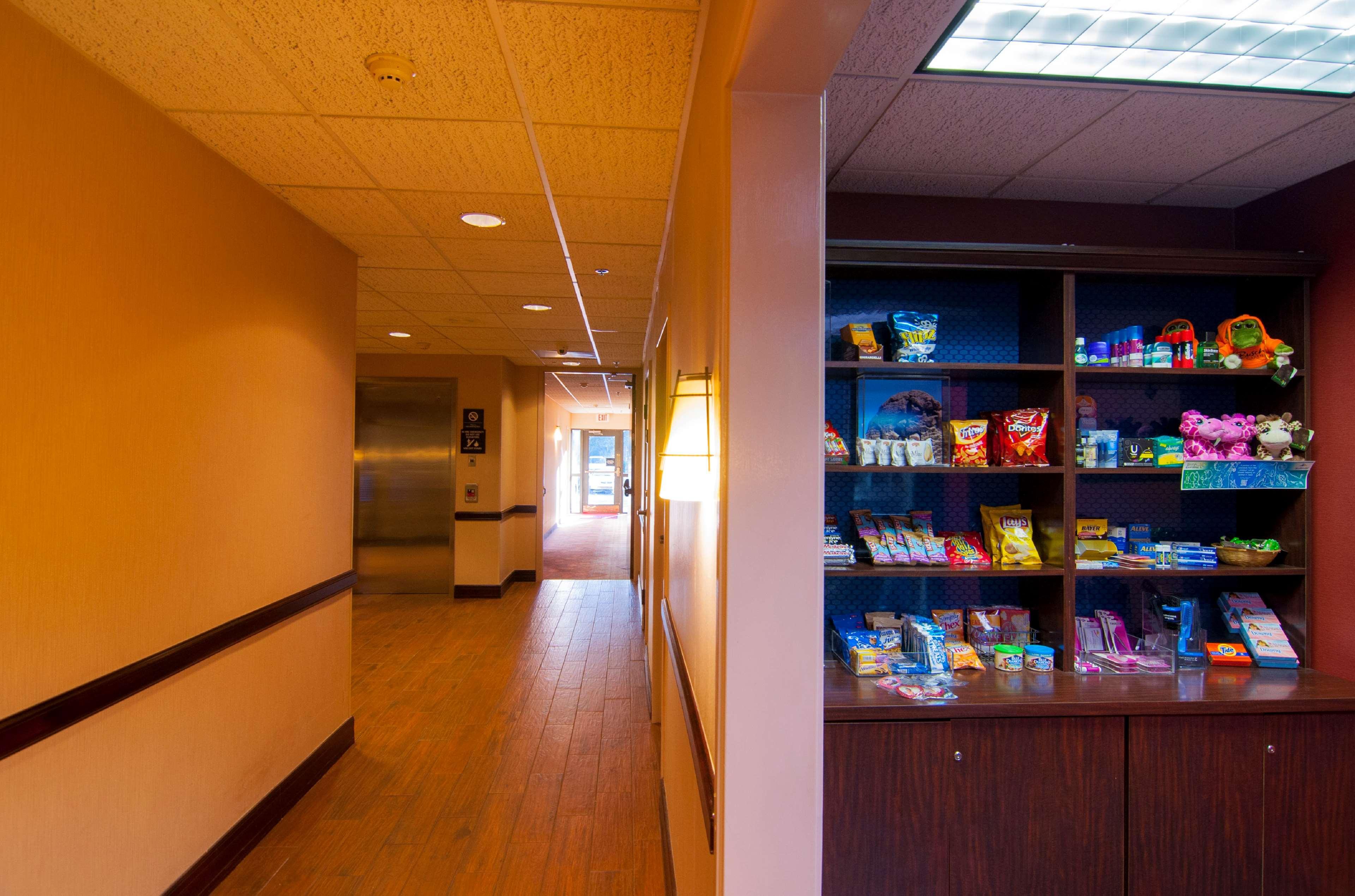 Hampton Inn & Suites Tampa-North Ngoại thất bức ảnh