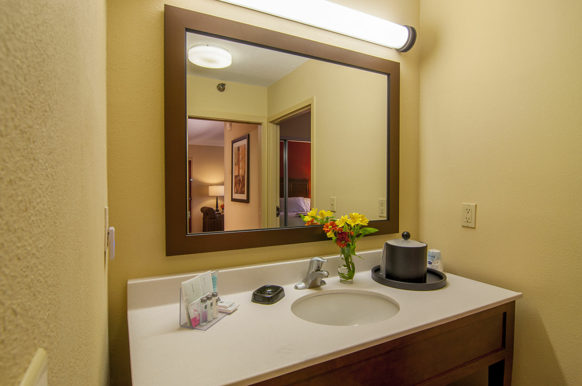 Hampton Inn & Suites Tampa-North Ngoại thất bức ảnh
