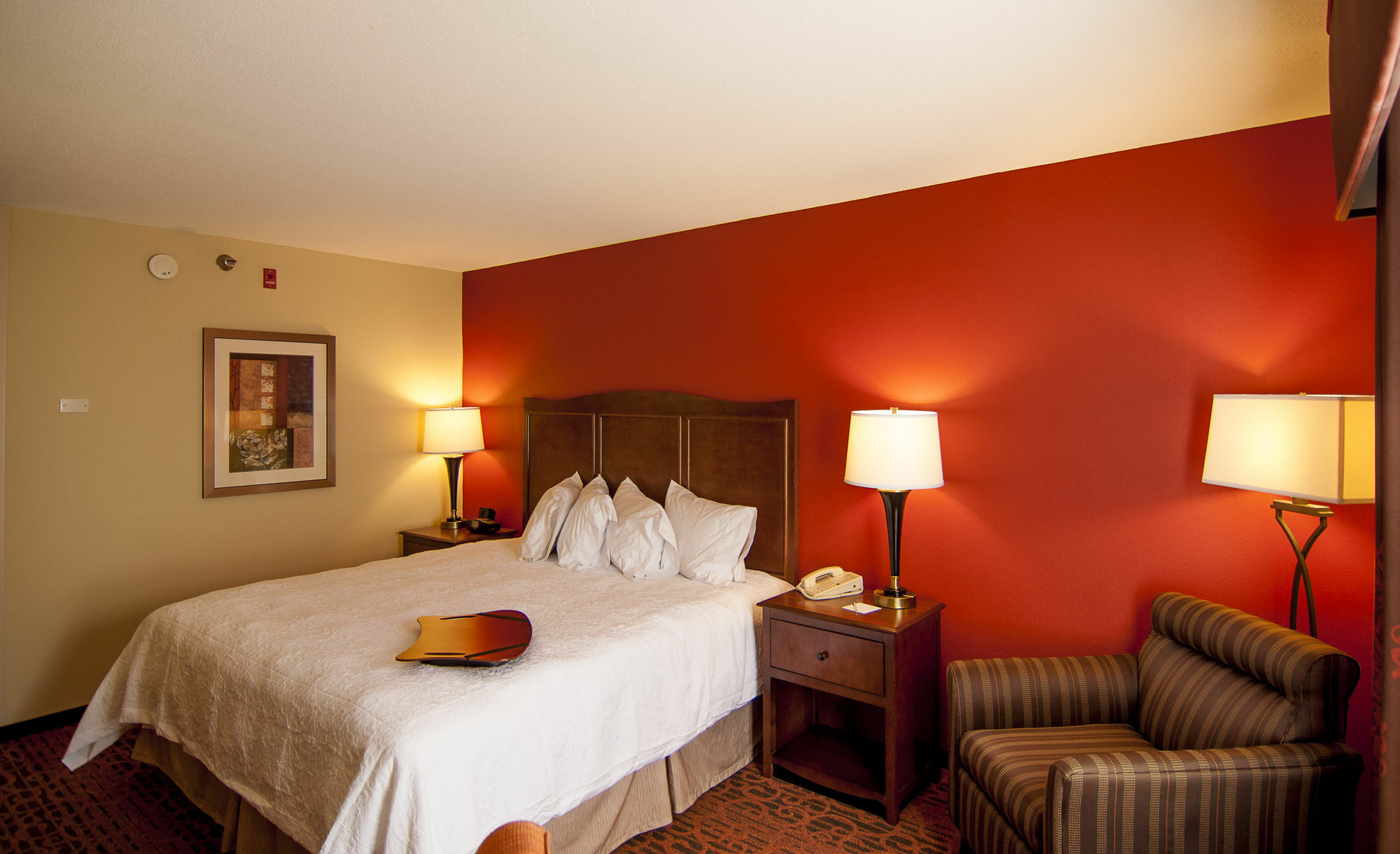 Hampton Inn & Suites Tampa-North Ngoại thất bức ảnh